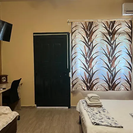 Apartment Wood *