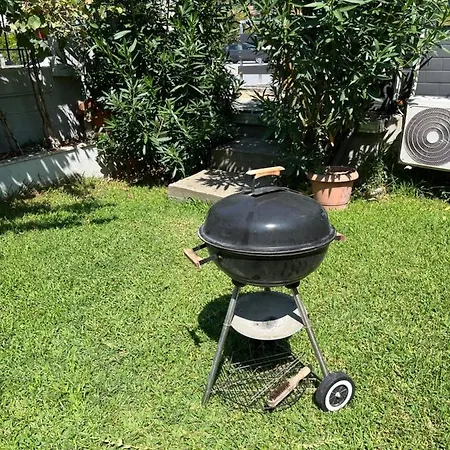 Wood Néa Mihanióna