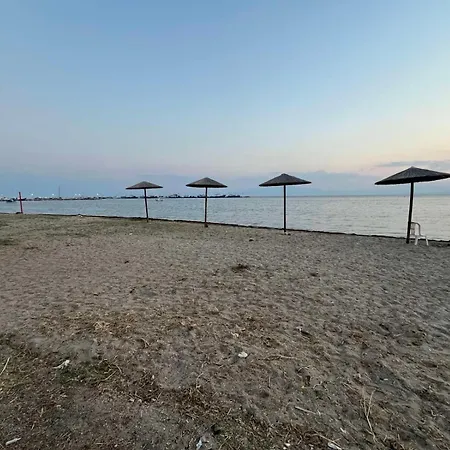 Wood * 尼亚米卡尼奥纳