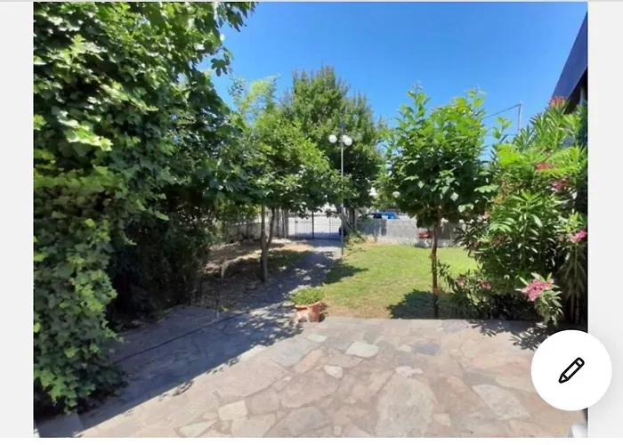Wood * Nea Michaniona