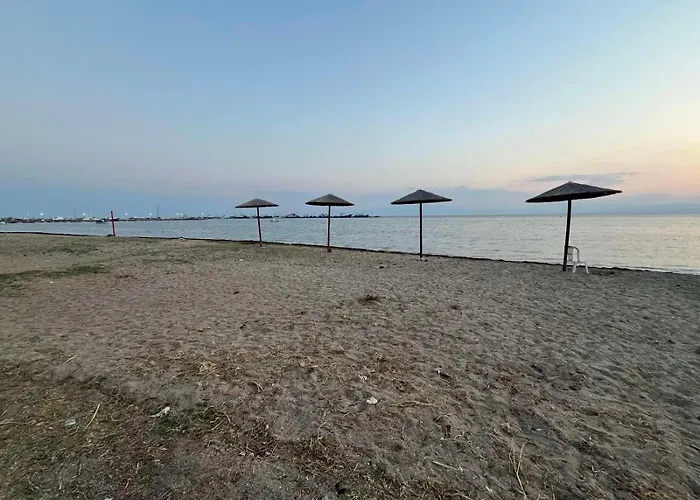 Wood * 尼亚米卡尼奥纳