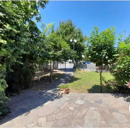 Wood * Nea Michaniona